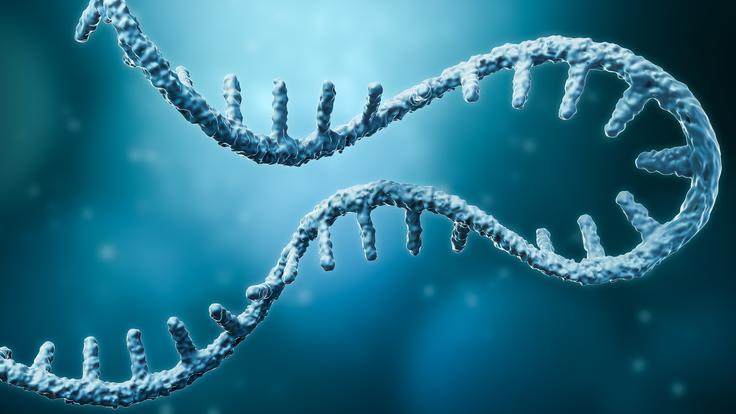 "Brez umetne inteligence ne bi mogli zanesljivo napovedovati ali razumeti zapletenega biološkega ozadja posameznikovih tumorjev." | Foto: Shutterstock