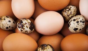 Kaj storiti, da bodo gosti pojedli tudi trdo kuhana jajca?