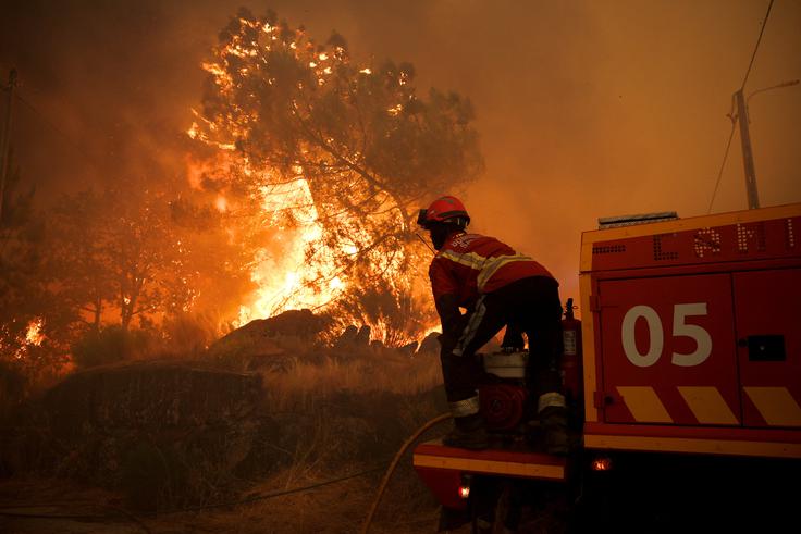požar, Portugalska | Foto: Reuters