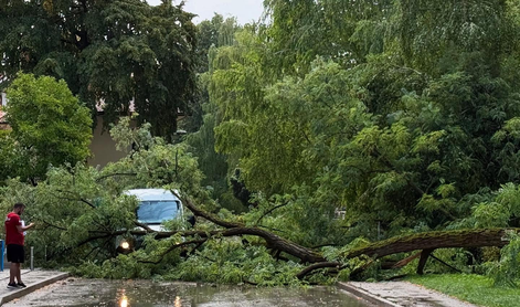 Hitra, a silovita nevihta v Ljubljani podirala drevesa #video