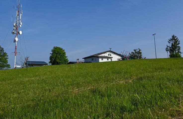 Janški hrib je najvišja točka MOL. V topli polovici leta na travniku pod vrhom številni uživajo, ko jih grejejo sončni žarki. | Foto: Matej Podgoršek