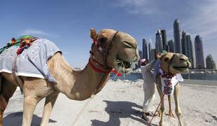 Dubaj napoveduje rekordno visoko razgledno kolo