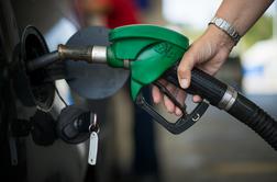 Kumer: Dvojnih cen goriva za avtoprevoznike ne bo 