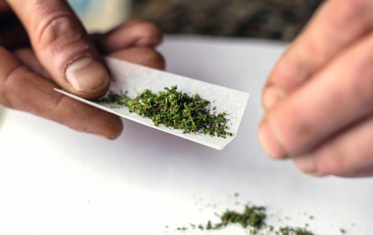 trava, droga, konoplja | Odvzeli so jim skupno okoli 22 gramov konoplje, 12 gramov marihuane ter manjše količine hašiša. Fotografija je simbolična.  | Foto Shutterstock