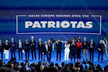 skrajni desničarji, Domoljubi Evrope
