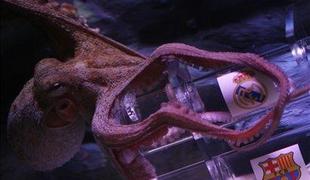 Hobotnici napovedujeta v prid Reala