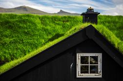 Zakaj zelena streha izboljša bivalne pogoje vašega doma