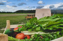 Pravila in pogoji za sodelovanje v nagradni igri Podarjamo en mesec brezplačne naročnine Gruntek