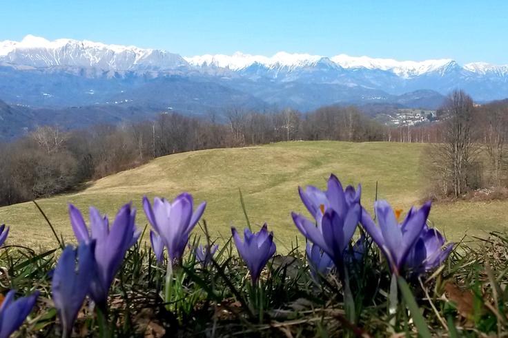 V visokogorju so še vedno zimske in zelo zahtevne razmere, zato med prvomajskimi prazniki raje obiščimo sredogorje. | Foto: Manca Ogrin (PZS)