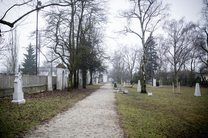 V spominski park Navje so posmrtne ostanke in nagrobnike ali pa le nagrobnike premestili med letoma 1936 in 1938. | Foto: Ana Kovač