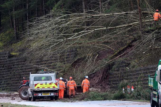 Nevihta je podirala drevesa. | Foto: Reuters