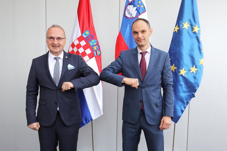 Anže Logar, Gordan Grlić Radman | Foto: STA ,