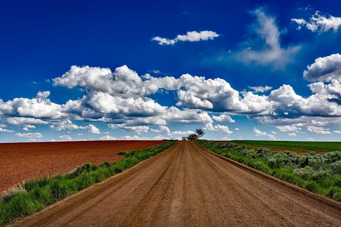 Fotografijo, ustvarjeno v načinu HDR, pogosto najlažje prepoznamo po tem, da so izrazito poudarjeni tako njeni svetli kot temni deli, barve so zelo živahne. Ta je bila sicer narejena s profesionalnim fotoaparatom DSLR, a občutno razliko lahko opazimo tudi pri fotografiranju s pametnim telefonom. | Foto: Pixabay