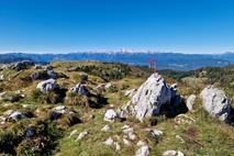 Ratitovec iz Soriške planine