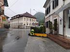 Neurje Cerkno