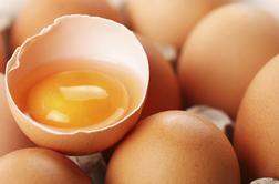 Obtožbe na račun Nizozemske zaradi jajc vse hujše