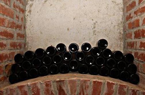 Tudi štajerski vinogradniki začenjajo s trgatvami