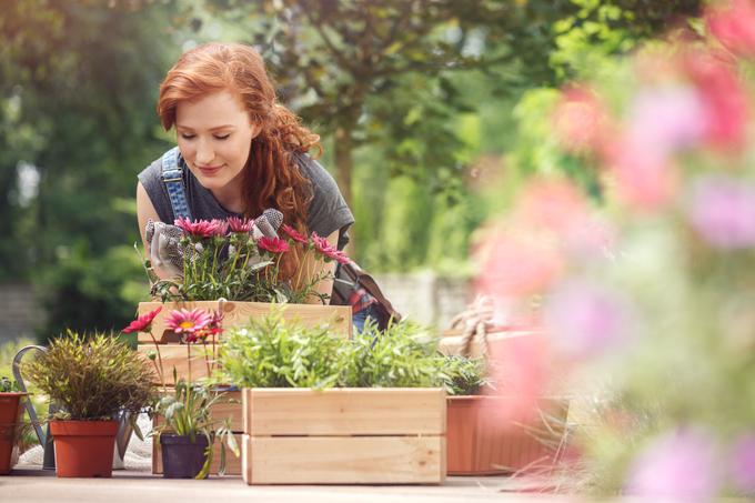 Ne samo za vrt, poskrbimo tudi za svojo dobro imunsko odpornost. | Foto: Thinkstock