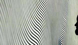 Bridget Riley, raziskovalka vizualne percepcije
