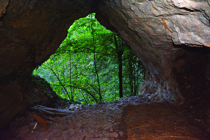 Grusko ali puščavnikovo jamo najdete na Kozjem, v vzhodnem delu Slovenije. Jama je dolga leta služila kot divje odlagališče odpadkov, danes pa je turistična znamenitost. Gre za izvirno kraško dolino, ki se začenja s 30 metrov visoko previsno steno, razlog za njen nastanek pa je verjetno bil udar jamskega stropa. Skupna dolžina jame je 22 metrov, višinska razlika pa znaša dva metra. Na dnu jame naj bi bila zasuta vas in stari grad. Skozi luknjo, iz katere ob dežju priteče voda, je mogoče splezati v široko podzemeljsko votlino. Ljudsko izročilo pravi, da je nekdo tam našel mrtve in okamnele ljudi. Nekateri so sedeli za mizo, drugi pa naj bi ležali po tleh.  | Foto: Arhiv Mladinske knjige