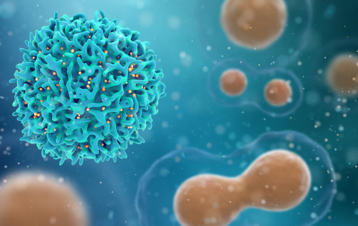 Rakave Celice | Celica T, ki je v naši krvi, bi bila lahko zdravilo za številne oblike rakavih obolenj. | Foto Getty Images