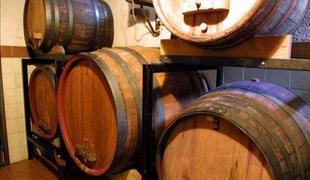 Sveti Martin iz mošta naredi vin' …