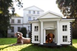 Dvorci za hišne ljubljenčke