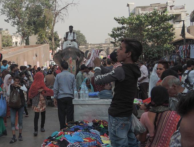 Indija zmajarji Ahmedabad festival človeška ribica proteus | Foto: Saša Iskrić