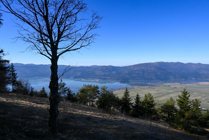 Pogled s terase pri planinskem domu | Foto: Matej Podgoršek