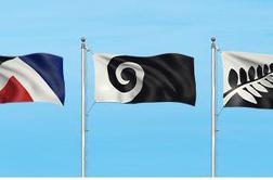 Novozelandci za zastavo s praprotjo in zvezdami