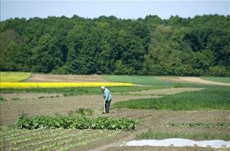 Židan: Rebalans proračuna v interese slovenskega kmeta ne bo posegal