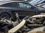Tesle v Grünheideju v bližini Berlina