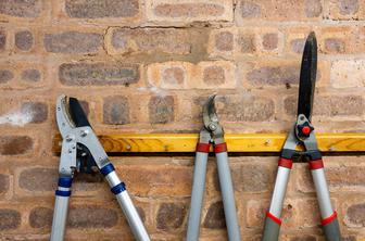 Kakšno orodje je najbolje uporabljati za obrezovanje dreves in urejanje vrta?