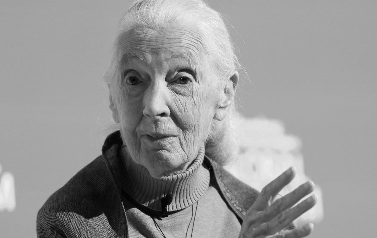 Jane Goodall | Foto Reuters