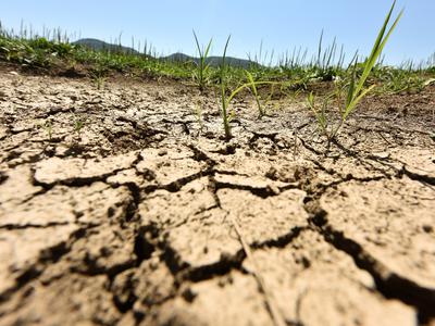 Na Arsu zaskrbljeni: Razmere ostajajo neugodne. Potrebovali bi do 50 milimetrov padavin.