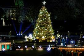 Božično drevo pred Belo hišo
