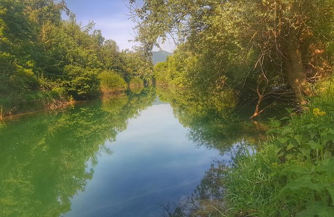 Ljubljanica ob izlivu potoka Tojnica, pri sinjegoriškem ribiškem domu (potok se izliva z desne strani). | Foto: Andreja Lončar