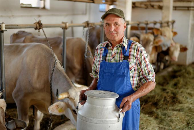 Pot od kmeta do mlekarne je kratka, kar zagotavlja večjo svežino mleka in ohranjanje kakovostnih sestavin v mleku. | Foto: 