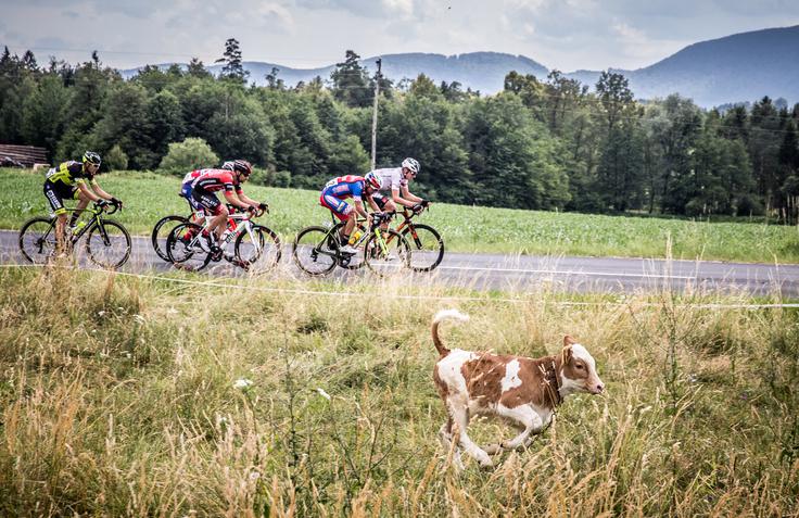 Dirka Po Sloveniji TOP | Foto: Vid Ponikvar