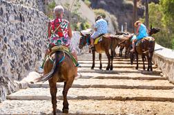 Santorini odločil: pretežki turisti ne smejo več jahati oslov