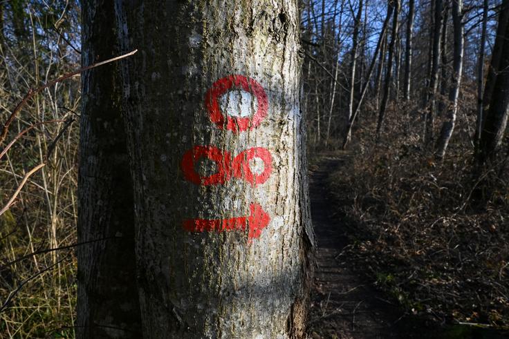 Pot je lepo označena z markacijami in ležečo osmico. | Foto: Matej Podgoršek