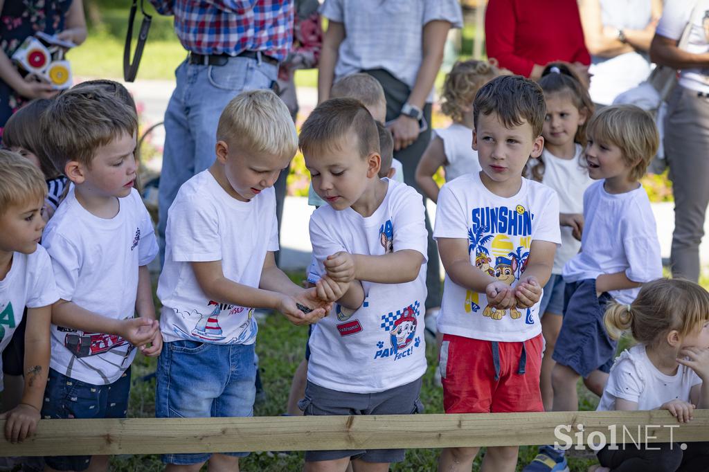 SŽ Sejemo sončno prihodnost Kočevje