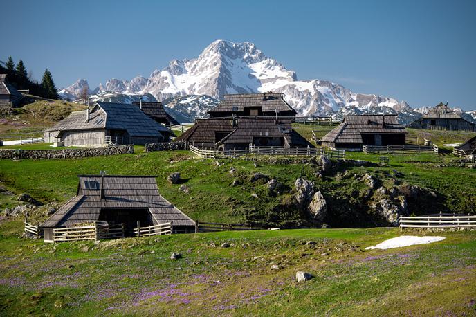 Velika planina | Foto Grega Eržen