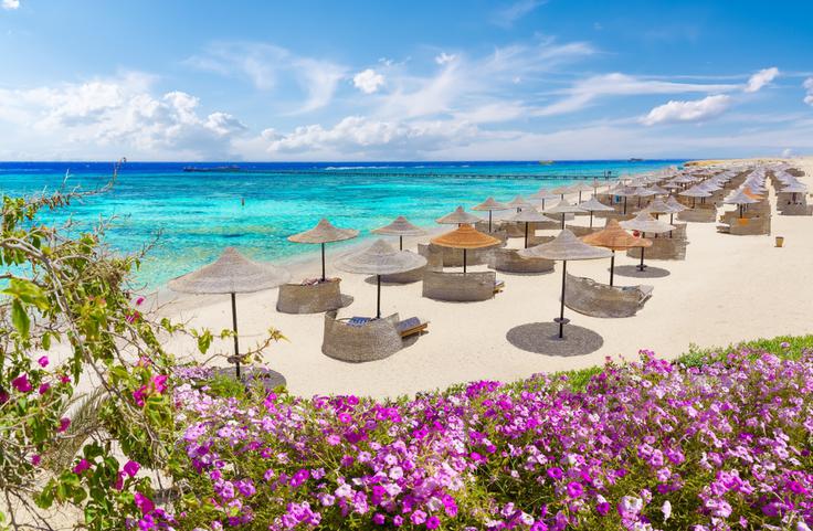 shutterstock_2196846261 | Foto: Shutterstock
