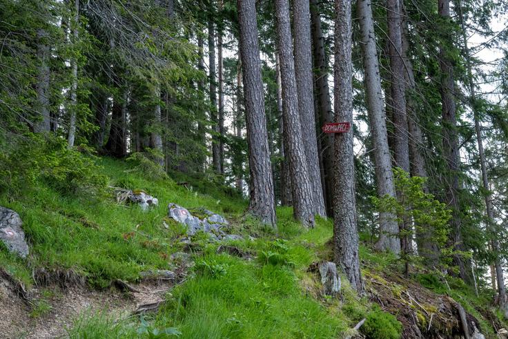 Obnovili bodo tudi pot iz Tople na Peco. | Foto: Matej Podgoršek