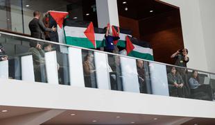 Zastave v državnem zboru v podporo Palestini