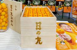 Na Japonskem plačujejo po tisoče evrov za zabojček mandarin