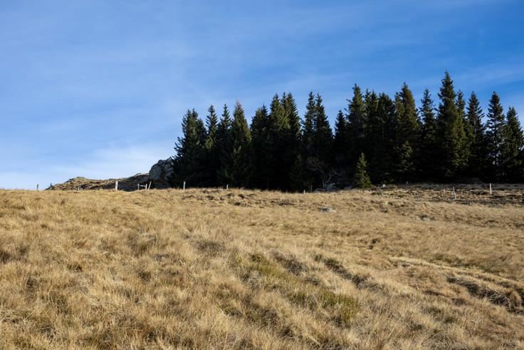 Po uri vzpona dosežemo planino. | Foto: Matej Podgoršek