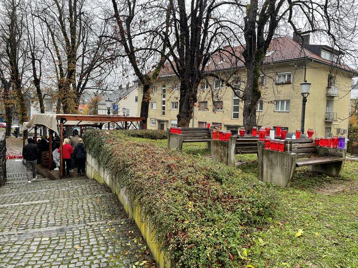 Novo mesto | Foto: Siol.net