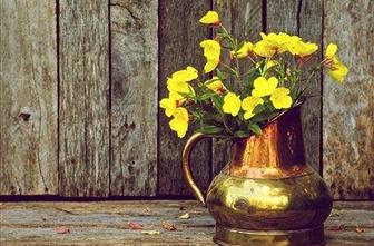 Rumeno-zlate barve pričarajo jesen v domu